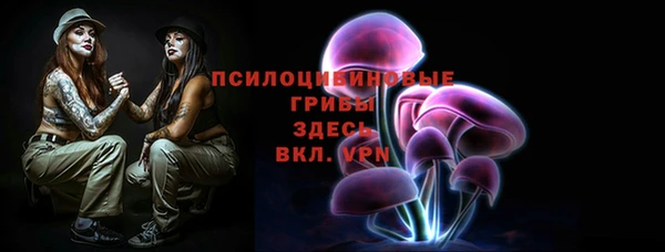 ГАЛЛЮЦИНОГЕННЫЕ ГРИБЫ Володарск