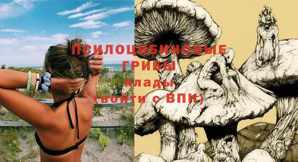 гашик Волосово