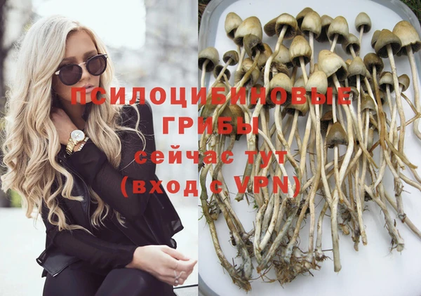 ГАЛЛЮЦИНОГЕННЫЕ ГРИБЫ Володарск