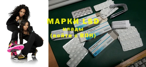 ГАЛЛЮЦИНОГЕННЫЕ ГРИБЫ Володарск