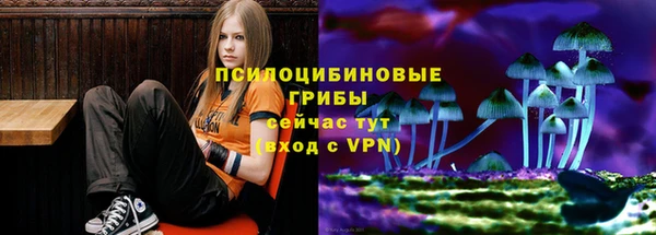 гашик Волосово