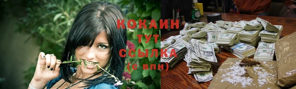 гашик Волосово