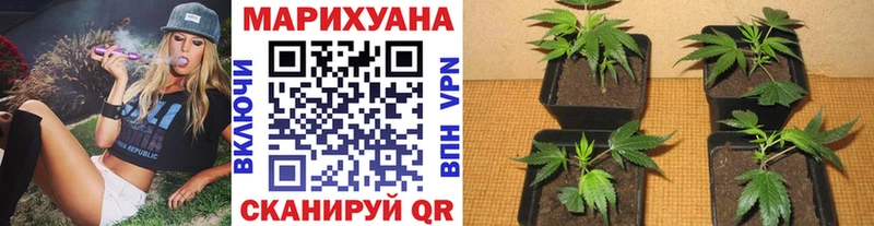МАРИХУАНА Bruce Banner Назарово