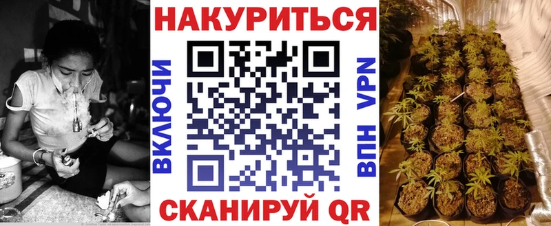 мега tor  даркнет Telegram  Бошки марихуана планчик  Назарово 